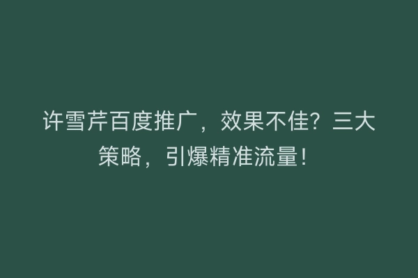 许雪芹百度推广，效果不佳？三大策略，引爆精准流量！