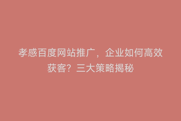 孝感百度网站推广，企业如何高效获客？三大策略揭秘