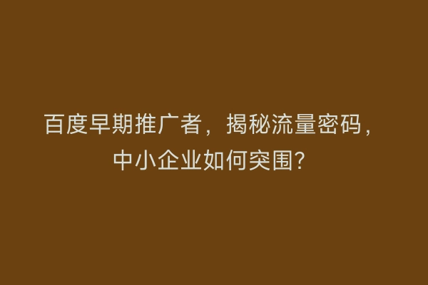百度早期推广者，揭秘流量密码，中小企业如何突围？