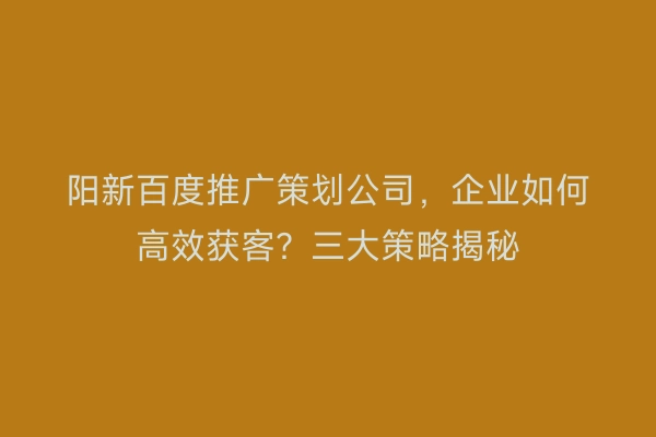 阳新百度推广策划公司，企业如何高效获客？三大策略揭秘