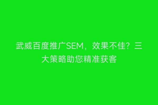 武威百度推广SEM，效果不佳？三大策略助您精准获客