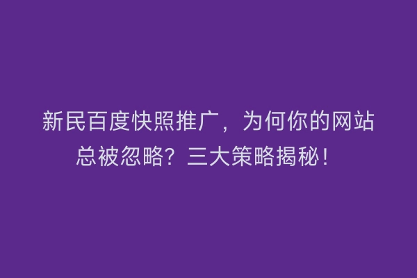 新民百度快照推广，为何你的网站总被忽略？三大策略揭秘！