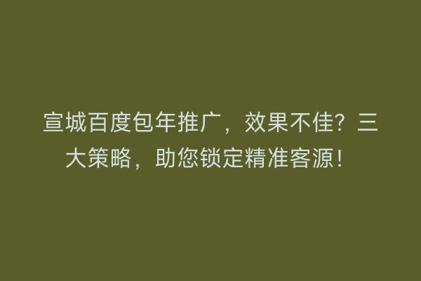 宣城百度包年推广，效果不佳？三大策略，助您锁定精准客源！