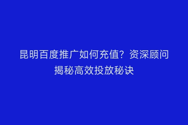 昆明百度推广如何充值？资深顾问揭秘高效投放秘诀