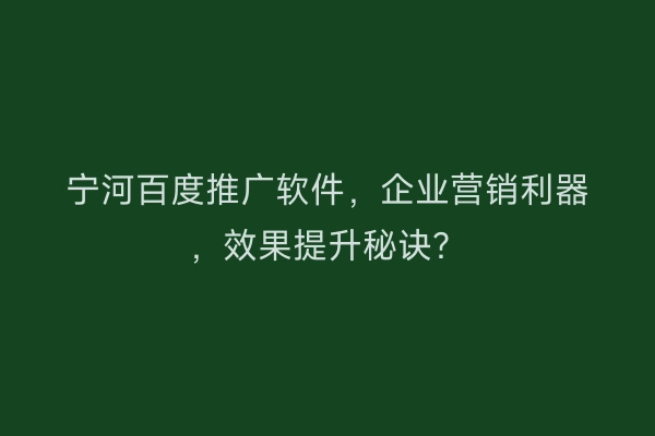 宁河百度推广软件，企业营销利器，效果提升秘诀？