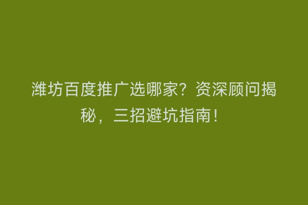 潍坊百度推广选哪家？资深顾问揭秘，三招避坑指南！