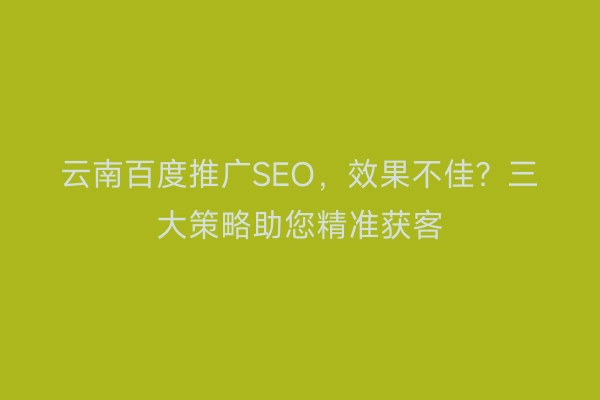 云南百度推广SEO，效果不佳？三大策略助您精准获客
