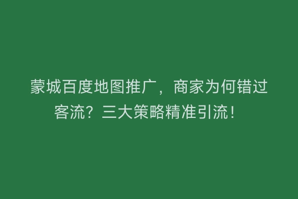 蒙城百度地图推广，商家为何错过客流？三大策略精准引流！