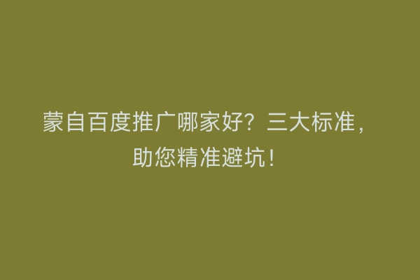 蒙自百度推广哪家好？三大标准，助您精准避坑！