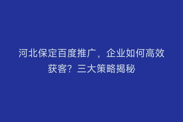 河北保定百度推广，企业如何高效获客？三大策略揭秘