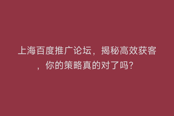 上海百度推广论坛，揭秘高效获客，你的策略真的对了吗？