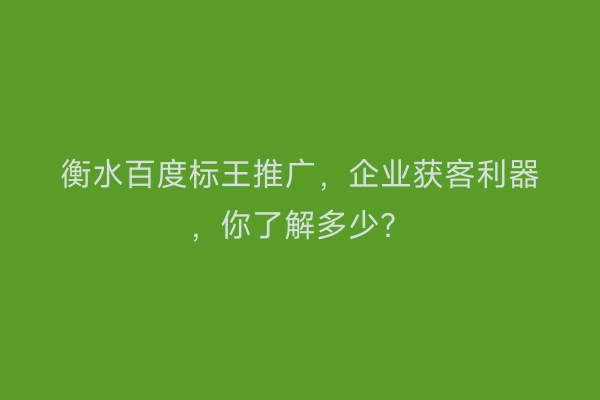 衡水百度标王推广，企业获客利器，你了解多少？