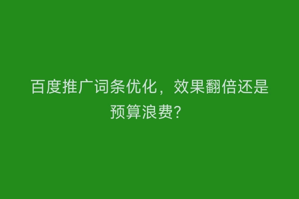 百度推广词条优化，效果翻倍还是预算浪费？