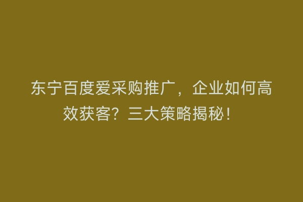 东宁百度爱采购推广，企业如何高效获客？三大策略揭秘！