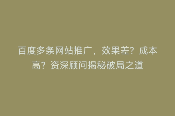 百度多条网站推广，效果差？成本高？资深顾问揭秘破局之道