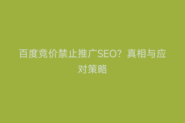 百度竞价禁止推广SEO？真相与应对策略