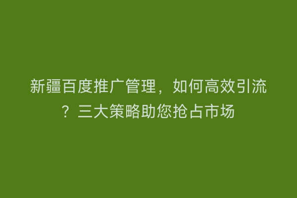 新疆百度推广管理，如何高效引流？三大策略助您抢占市场