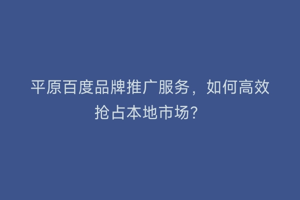 平原百度品牌推广服务,如何高效抢占本地市场?