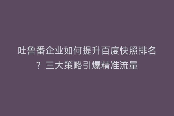 吐鲁番企业如何提升百度快照排名？三大策略引爆精准流量