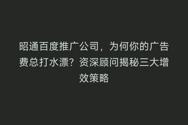 昭通百度推广公司，为何你的广告费总打水漂？资深顾问揭秘三大增效策略