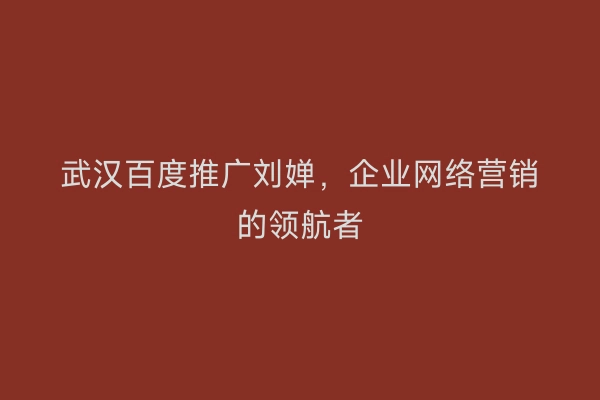 武汉百度推广刘婵，企业网络营销的领航者