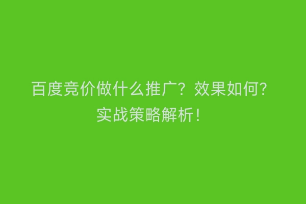 百度竞价做什么推广？效果如何？实战策略解析！