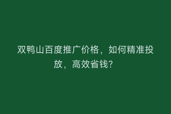 双鸭山百度推广价格，如何精准投放，高效省钱？