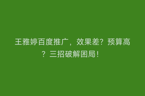 王雅婷百度推广，效果差？预算高？三招破解困局！
