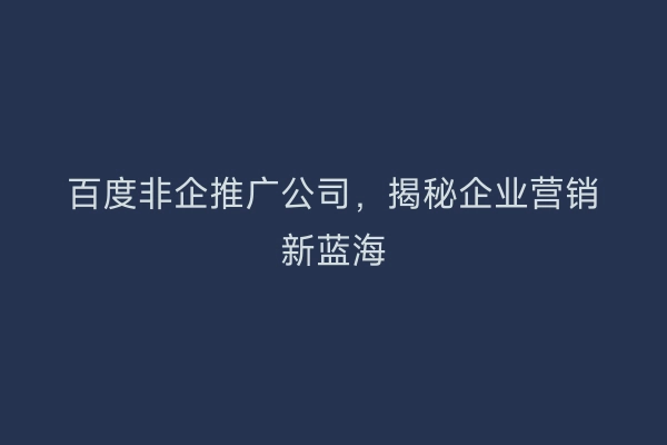 百度非企推广公司，揭秘企业营销新蓝海
