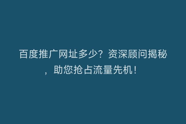 百度推广网址多少？资深顾问揭秘，助您抢占流量先机！