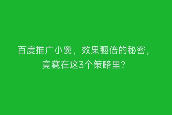 百度推广小窦,效果翻倍的秘密,竟藏在这3个策略里?