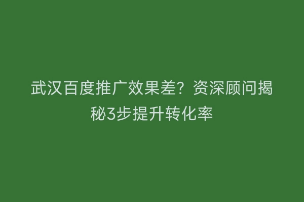 武汉百度推广效果差？资深顾问揭秘3步提升转化率