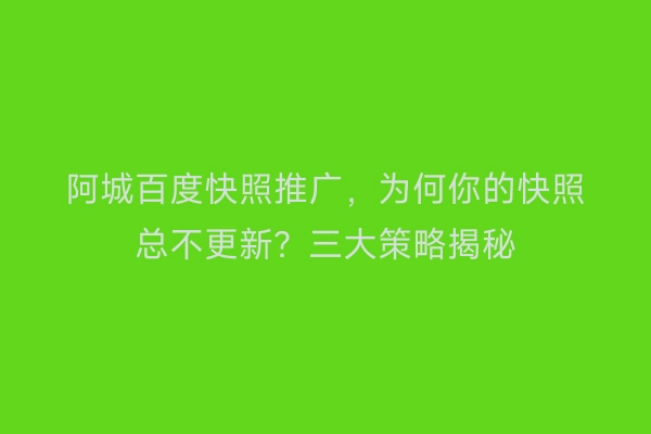 阿城百度快照推广,为何你的快照总不更新?三大策略揭秘