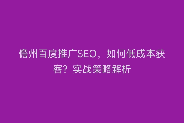 儋州百度推广SEO，如何低成本获客？实战策略解析