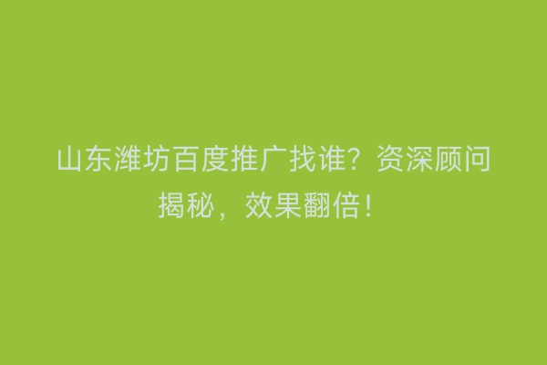 山东潍坊百度推广找谁?资深顾问揭秘,效果翻倍!