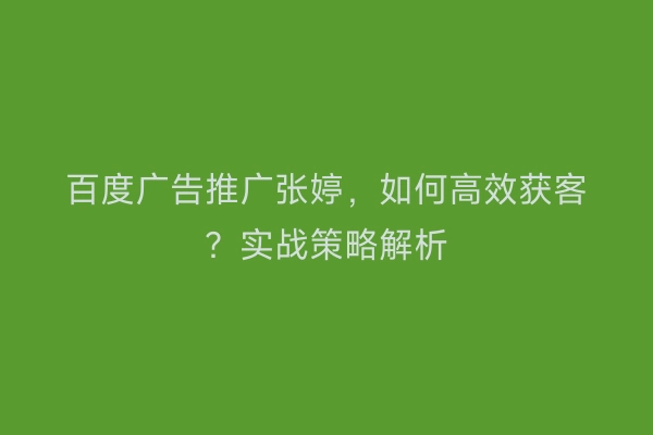 百度广告推广张婷，如何高效获客？实战策略解析