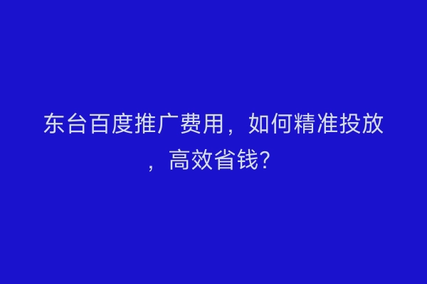 东台百度推广费用，如何精准投放，高效省钱？