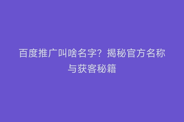 百度推广叫啥名字？揭秘官方名称与获客秘籍