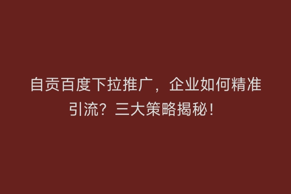 自贡百度下拉推广，企业如何精准引流？三大策略揭秘！