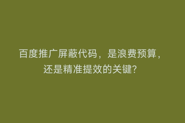 百度推广屏蔽代码，是浪费预算，还是精准提效的关键？