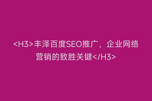 <H3>丰泽百度SEO推广，企业网络营销的致胜关键</H3>