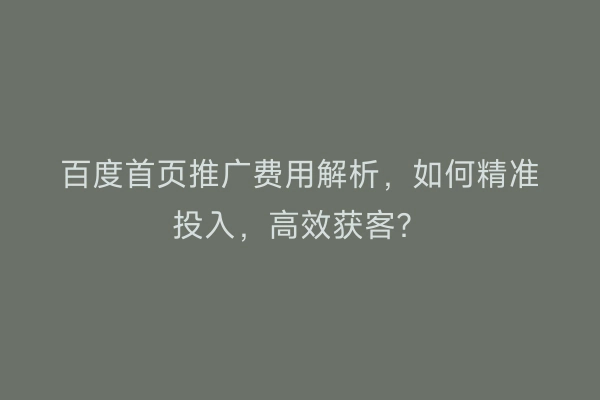 百度首页推广费用解析，如何精准投入，高效获客？