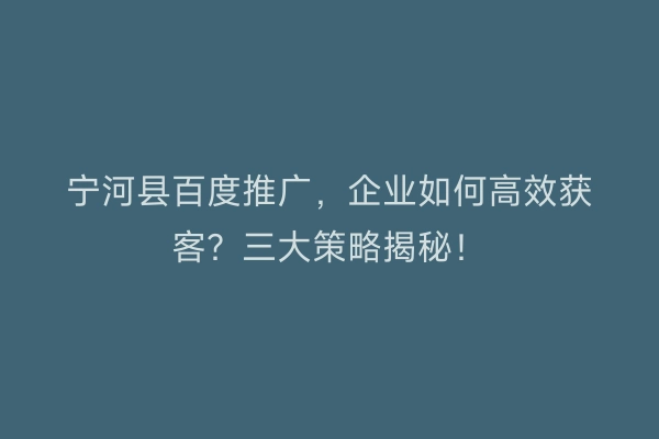 宁河县百度推广，企业如何高效获客？三大策略揭秘！