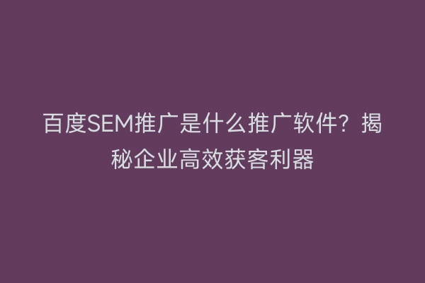 百度SEM推广是什么推广软件？揭秘企业高效获客利器
