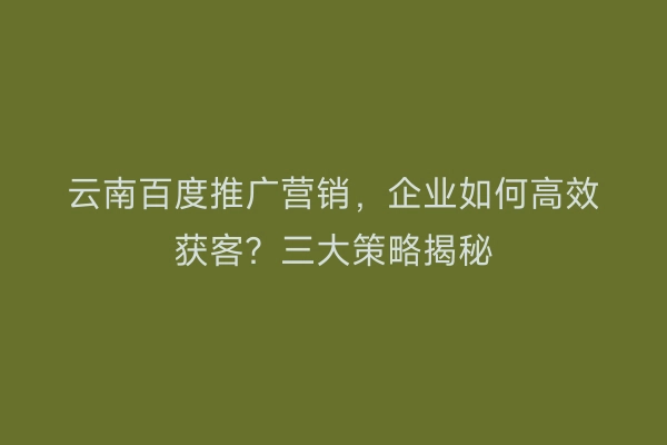 云南百度推广营销，企业如何高效获客？三大策略揭秘