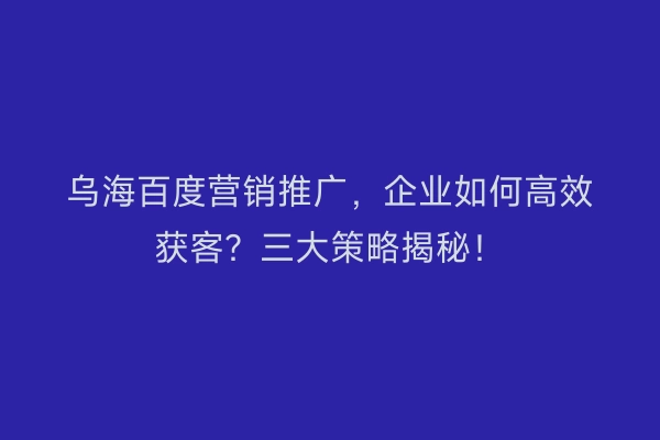 乌海百度营销推广，企业如何高效获客？三大策略揭秘！