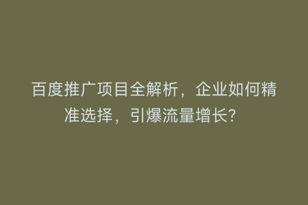 百度推广项目全解析,企业如何精准选择,引爆流量增长?