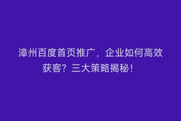漳州百度首页推广，企业如何高效获客？三大策略揭秘！