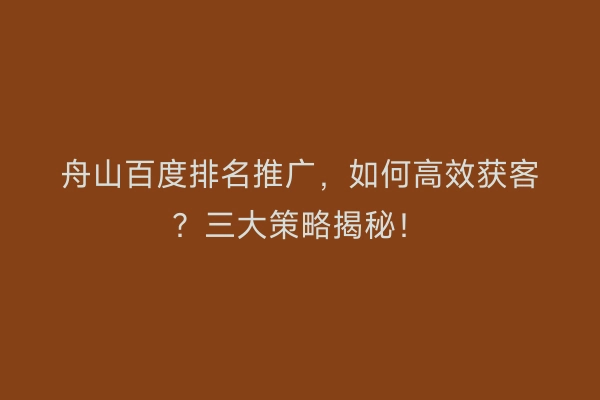 舟山百度排名推广，如何高效获客？三大策略揭秘！