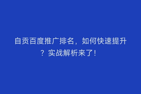 自贡百度推广排名，如何快速提升？实战解析来了！